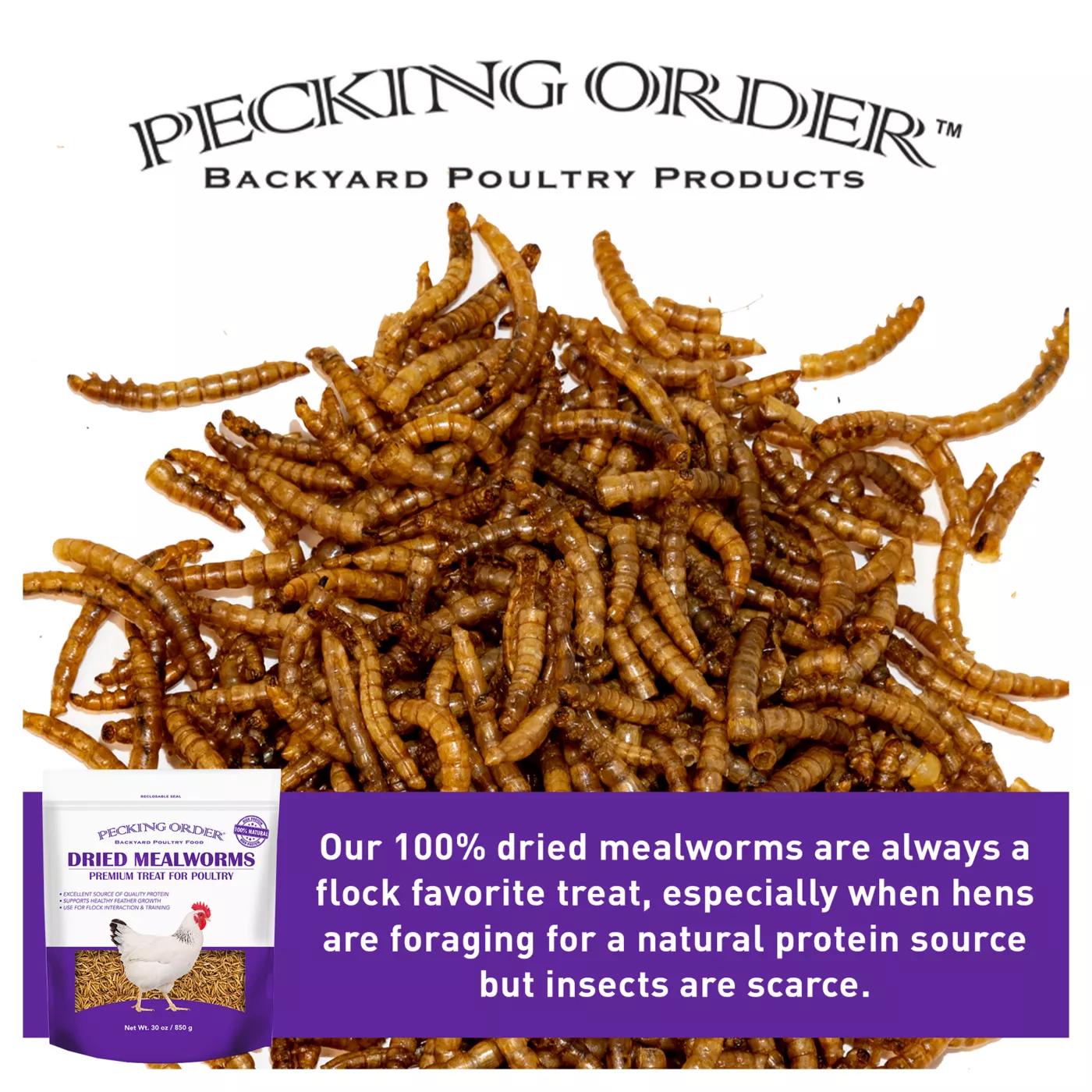 Pecking Order Dried Mealworms