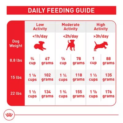 Royal Canin Size Health Nutrition Small 8+ Senior Dry Dog Food - Image 9
