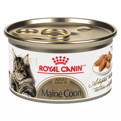 Product Royal Canin Feline Breed Nutrition Maine Coon Thin Slices In Gravy Canned Cat Food