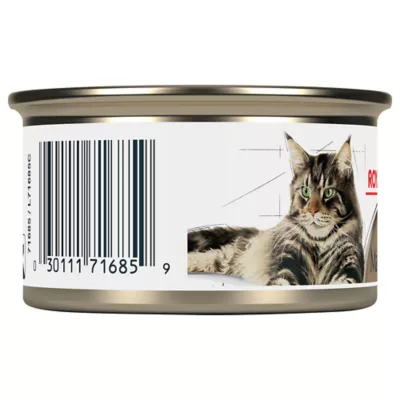 Product Royal Canin Feline Breed Nutrition Maine Coon Thin Slices In Gravy Canned Cat Food