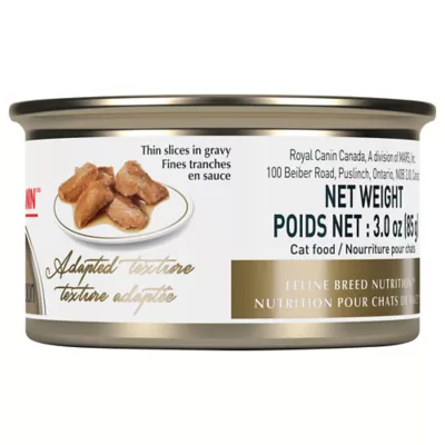 Product Royal Canin Feline Breed Nutrition Maine Coon Thin Slices In Gravy Canned Cat Food