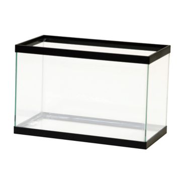 Image of aquarium