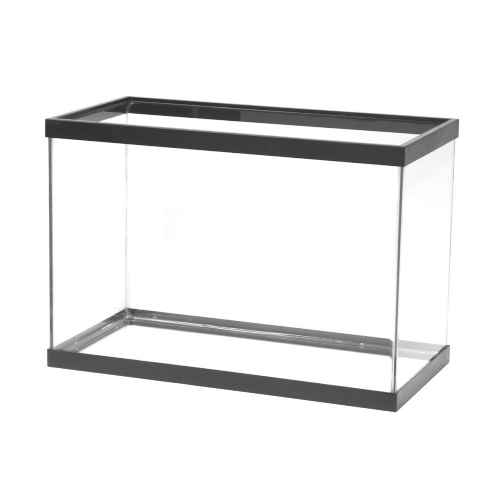 Petsmart 2025 glass tank