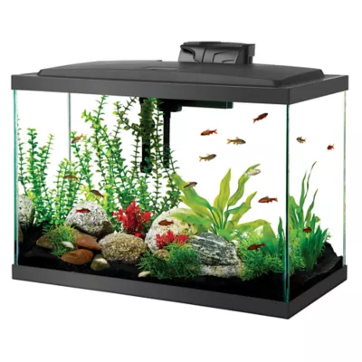 Product Aqueon Standard Glass Rectangle Aquarium