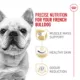 Product Royal Canin Breed Health Nutrition French Bulldog Adult Dry Dog Food - Chicken