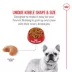 Royal Canin Breed Health Nutrition French Bulldog Adult Dry Dog Food image thumbnail 4