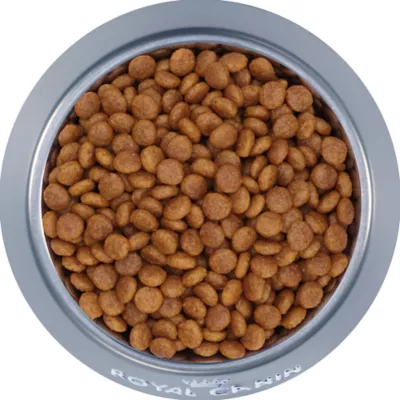 Product Royal Canin Size Health Nutrition X-Small Adult Dry Dog Food - Chicken