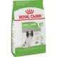 Product Royal Canin Size Health Nutrition X-Small Mature 8+ Dry Dog Food - Chicken