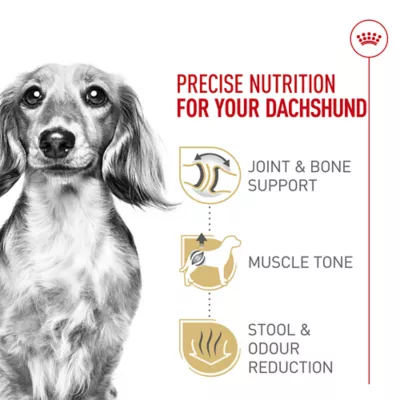 Product Royal Canin® Breed Health Nutrition® Dachshund Breed Specific Adult Dog Dry Food