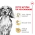 Royal Canin® Breed Health Nutrition® Dachshund Breed Specific Adult Dog Dry Food image thumbnail 2