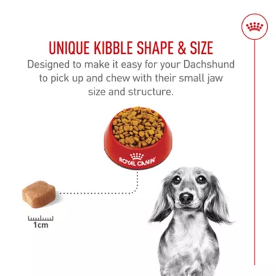 Product Royal Canin® Breed Health Nutrition® Dachshund Breed Specific Adult Dog Dry Food