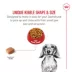 Royal Canin® Breed Health Nutrition® Dachshund Breed Specific Adult Dog Dry Food image thumbnail 4