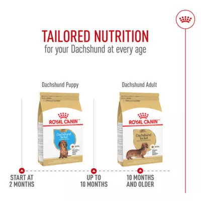 Product Royal Canin® Breed Health Nutrition® Dachshund Breed Specific Adult Dog Dry Food