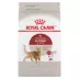 Royal Canin Feline Adult Dry Cat Food Health Nutrition, Fit And Active image thumbnail 1