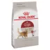 Royal Canin Feline Adult Dry Cat Food Health Nutrition, Fit And Active image thumbnail 5