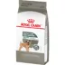 Royal Canin Canine Adult Dry Dog Food - Small Breed Dental Care Nutrition image thumbnail 5