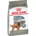 Royal Canin Canine Adult Dry Dog Food - Large Breed Dental Care Nutrition, 30 lb image thumbnail 4