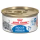 Product Royal Canin Feline Health Nutrition Indoor 7+ Morsels in Gravy Canned Cat Food