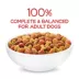 Purina Beneful Originals Adult Dog Dry Food - Natural, Salmon image thumbnail 3
