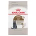 Royal Canin Feline Senior Dry Cat Food Health Nutrition, Aging Spayed/Neutered image thumbnail 1