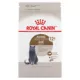 Product Royal Canin Feline Health Nutrition Aging Spayed / Neutered 12+ Dry Adult Cat Food