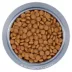 Royal Canin Feline Senior Dry Cat Food Health Nutrition, Aging Spayed/Neutered image thumbnail 3