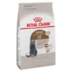 Product Royal Canin Feline Health Nutrition Aging Spayed / Neutered 12+ Dry Adult Cat Food