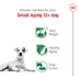 Royal Canin Size Health Nutrition Small Aging 12+ Dog Food image thumbnail 3