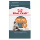 Product Royal Canin Feline Care Nutrition Hair & Skin Care Adult Dry Cat Food - Chicken