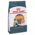 Royal Canin Feline Adult Dry Cat Food Care Nutrition, Hair & Skin Care image thumbnail 4