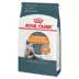 Royal Canin Feline Adult Dry Cat Food Care Nutrition, Hair & Skin Care image thumbnail 5