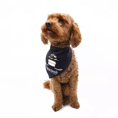 Product Snoop Doggie Doggs Classic Snoop Dogg Bandana - 2 Pack