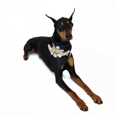 Product Snoop Doggie Doggs Classic Snoop Dogg Bandana - 2 Pack