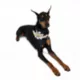 Product Snoop Doggie Doggs Classic Snoop Dogg Bandana - 2 Pack