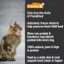 PureBites+ RAW Freeze Dried Skin & Coat Cat Treats - Chicken image thumbnail 5
