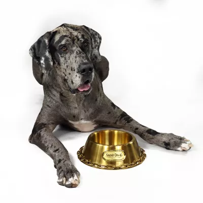 Product Snoop Doggie Doggs Off The Chain Dog Bowl