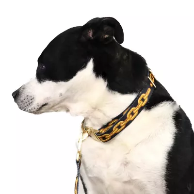 Product Snoop Doggie Doggs Off The Chain Dog Collar