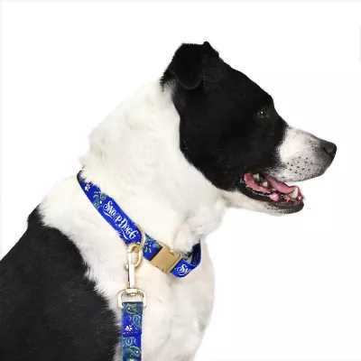 Product Snoop Doggie Doggs Halftime Dog Collar