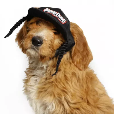 Product Snoop Doggie Doggs Classic Snoop Braids Baseball Dog Hat