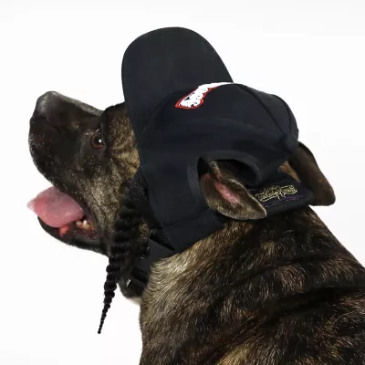 Product Snoop Doggie Doggs Classic Snoop Braids Baseball Dog Hat