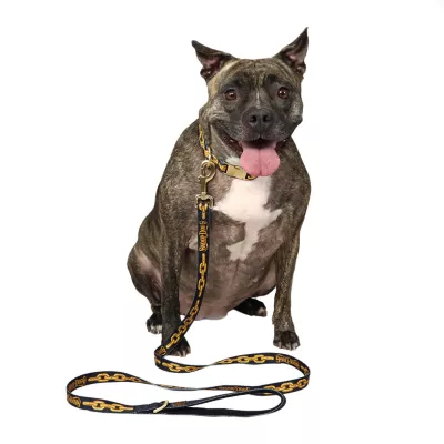 Product Snoop Doggie Doggs Off The Chain Dog Leash: 5-ft long