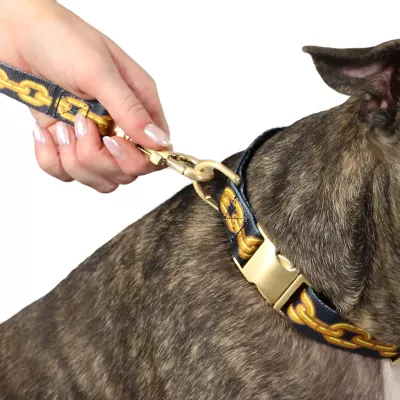 Product Snoop Doggie Doggs Off The Chain Dog Leash: 5-ft long
