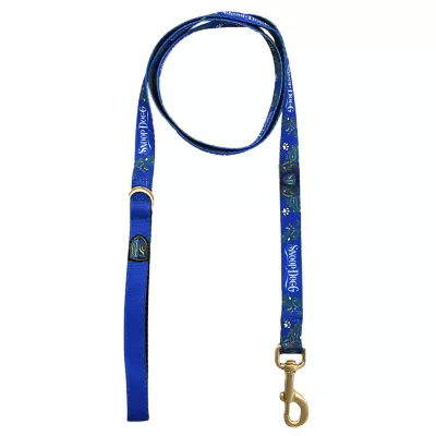 Product Snoop Doggie Doggs Halftime Dog Leash: 5-ft long