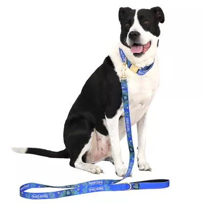 Product Snoop Doggie Doggs Halftime Dog Leash: 5-ft long