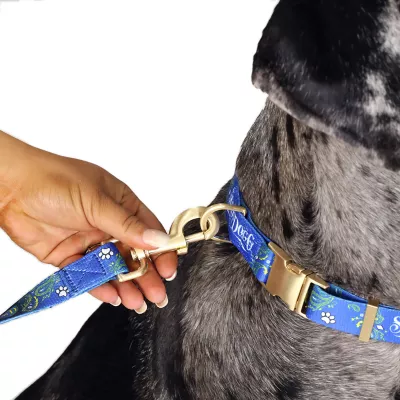 Product Snoop Doggie Doggs Halftime Dog Leash: 5-ft long