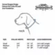 Product Snoop Doggie Doggs Halftime Dog Leash: 5-ft long