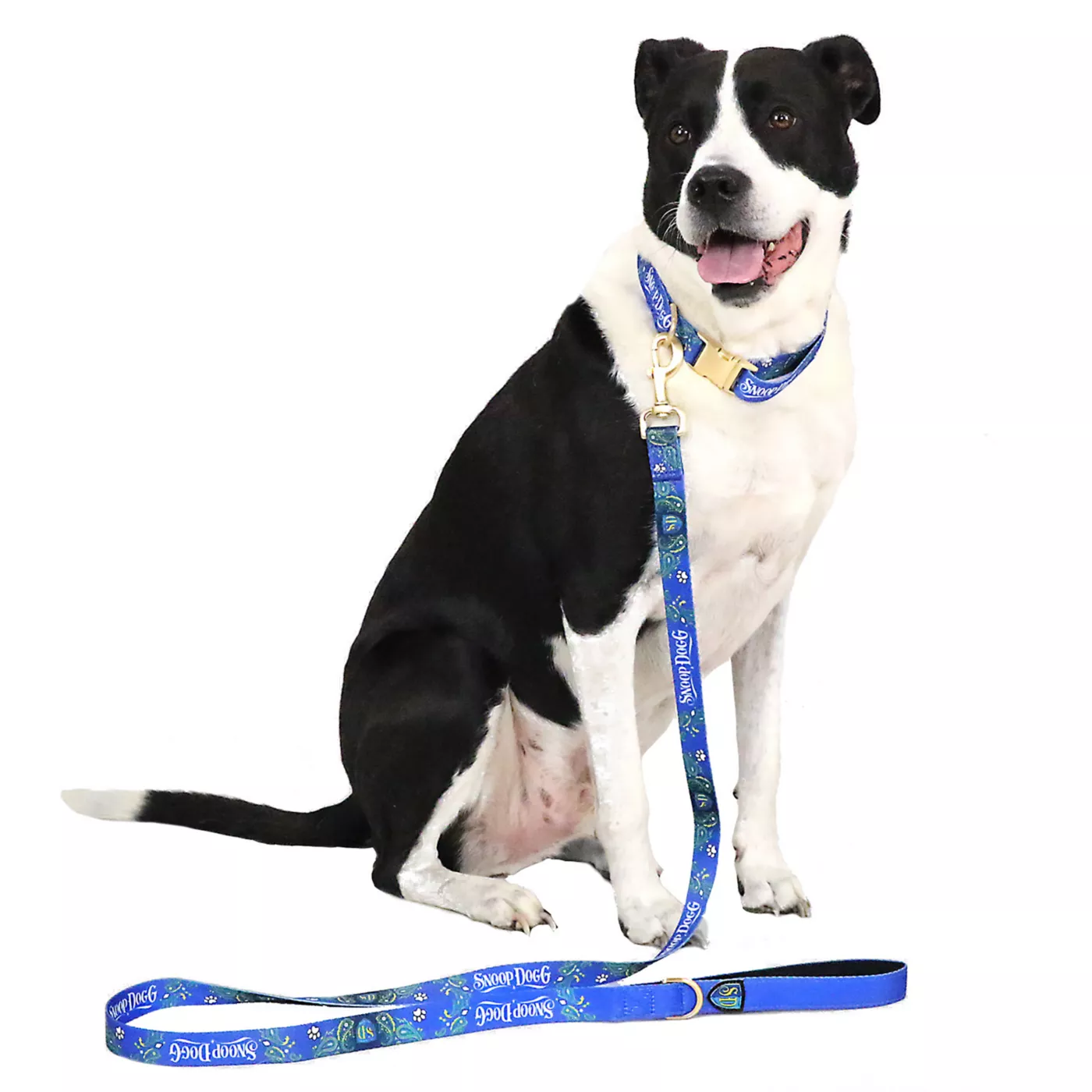 Long dog leash petsmart hotsell