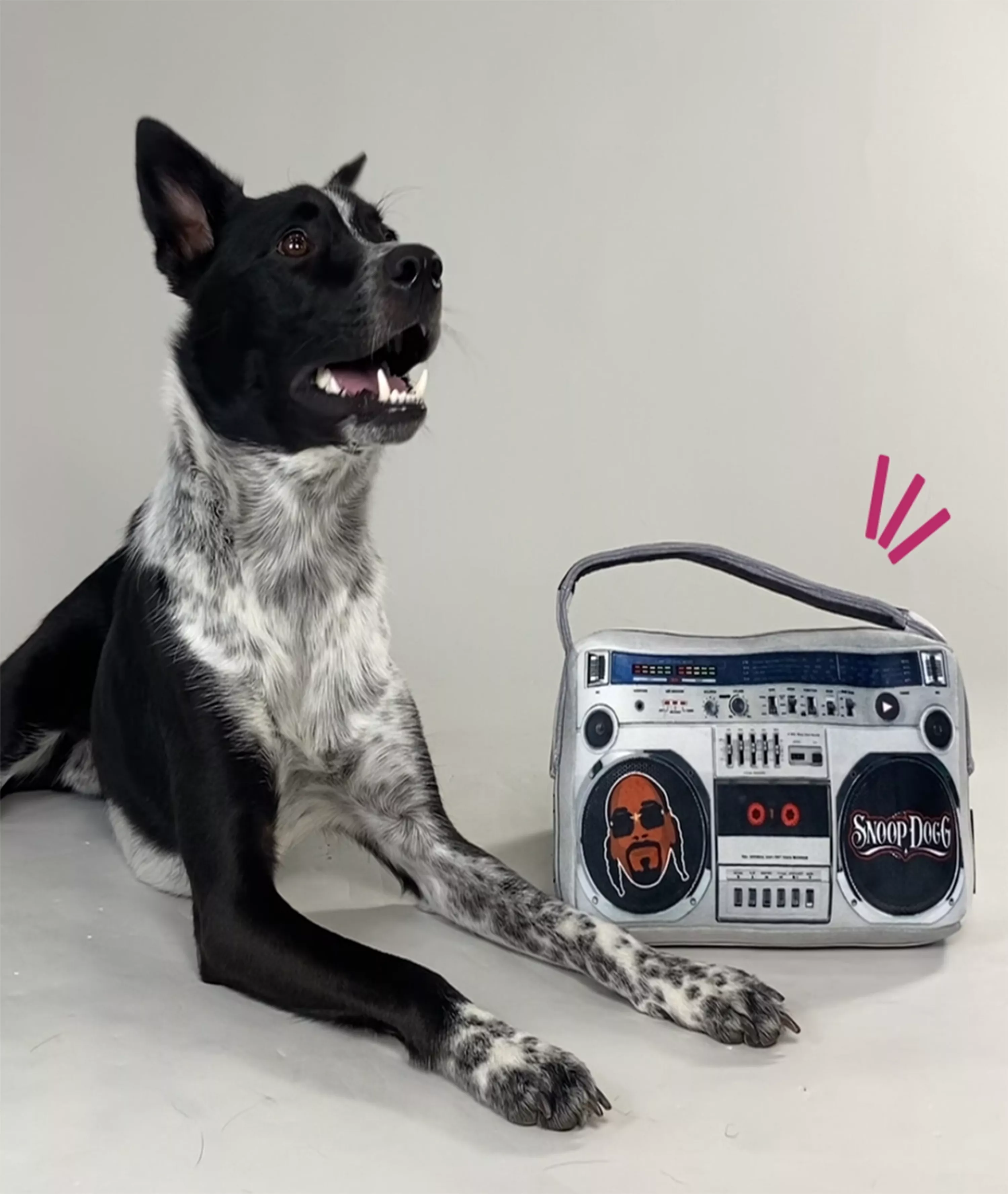 Snoop Doggie Doggs Boom Box Dog Toy