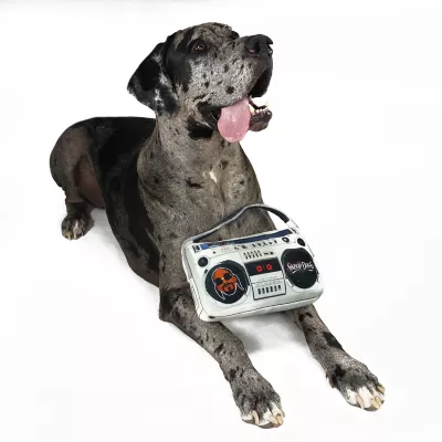 Product Snoop Doggie Doggs Boom Box Dog Toy