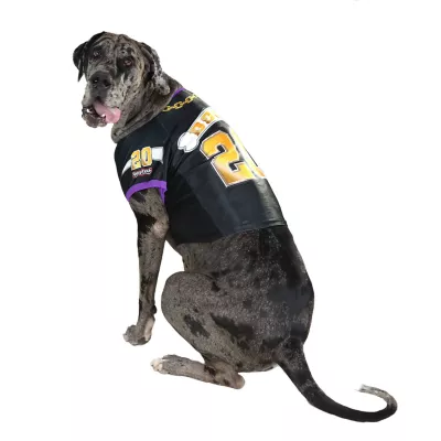 Product Snoop Doggie Doggs Off The Chain Dog Jersey